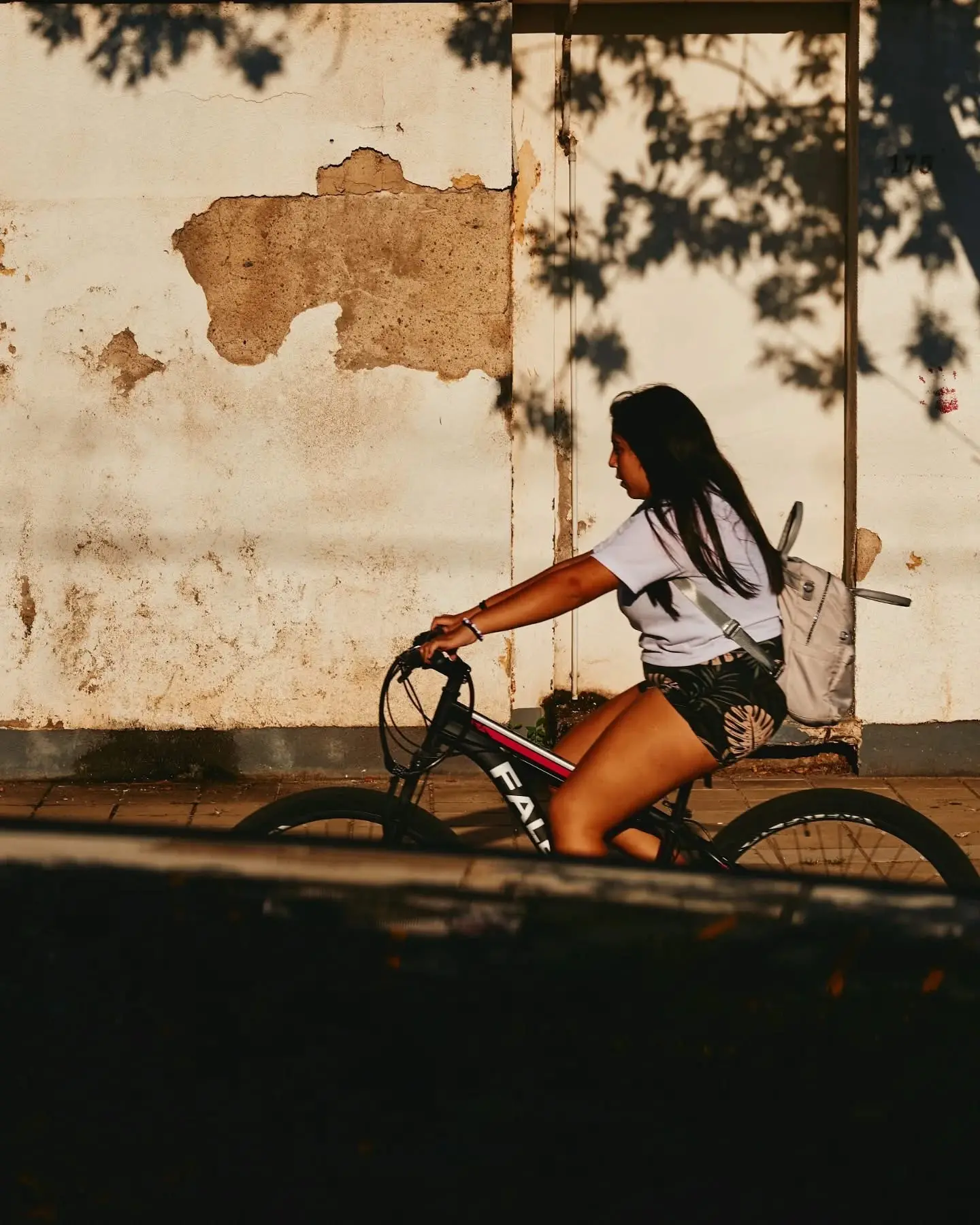 artistica_foto_profesional3
