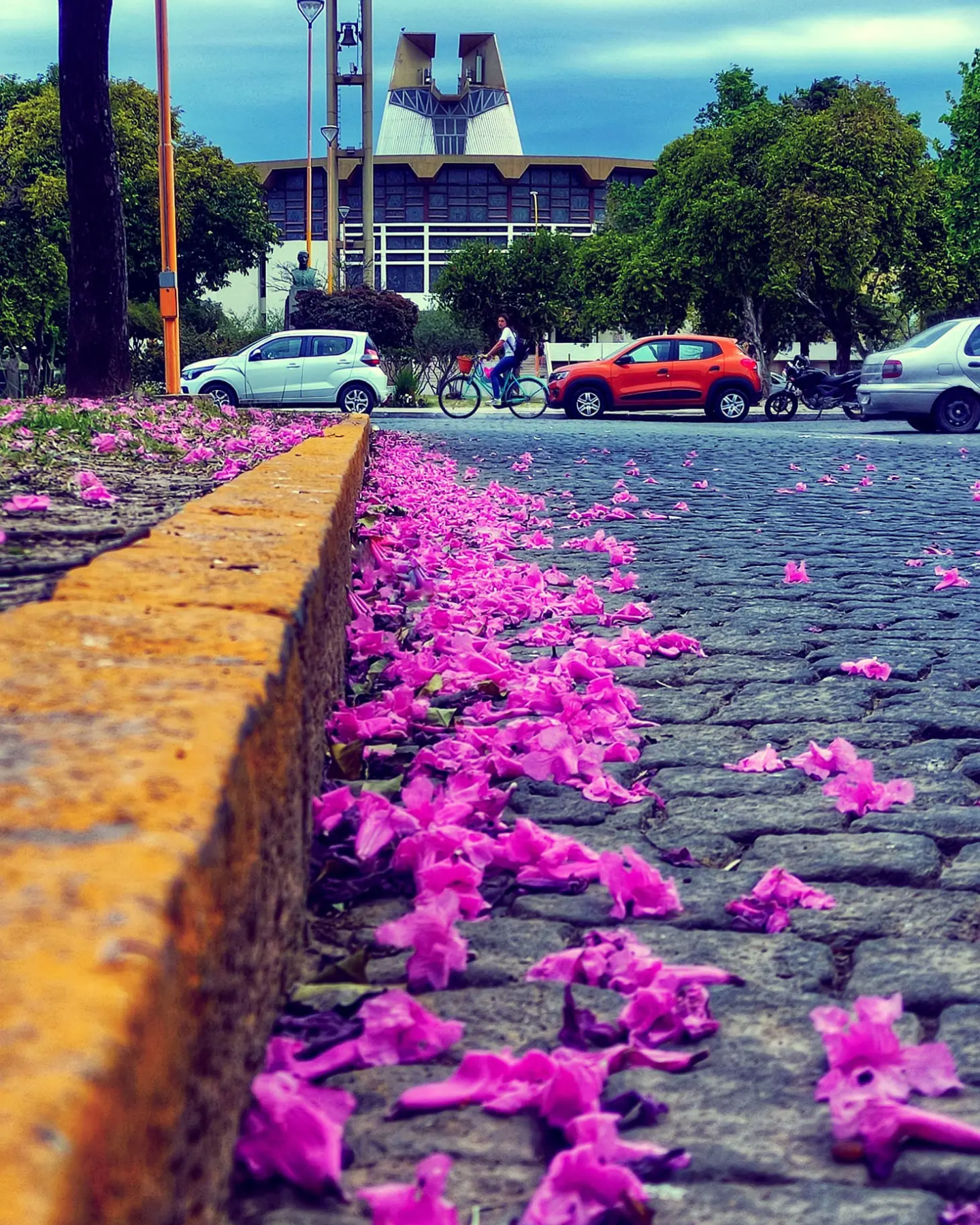 artistica_foto_profesional9